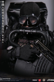 Damtoys 78073 PLA Navy Marine Corps Combat Diver 1/6 scale action figure