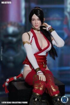 1/6 Scale Super Duck SET075 Dead or Alive Momiji Dragon Witch action figure