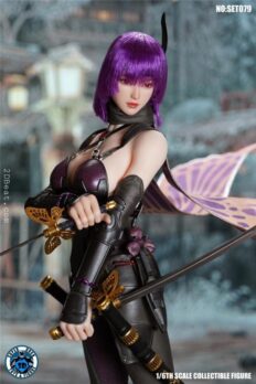 1/6 Scale Super Duck SET079 Ayane Action Figure