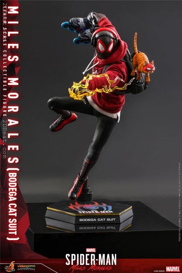 Mô hình Hot Toys 1:6 VGM50 Miles Morales (Bodega Cat Suit) / Marvel's  Spider-Man ⋆ 2DBeat Figure Store