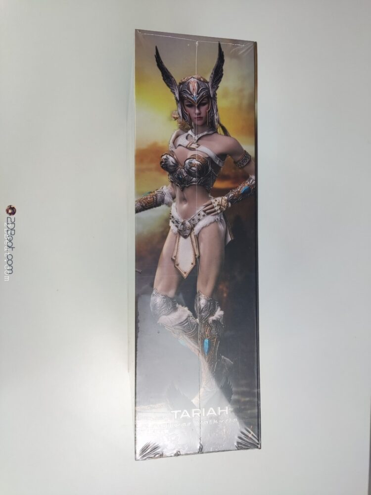 [In-Stock] TBLeague Phicen PL2019-149 Tariah Silver Valkyrie 1/6 Scale