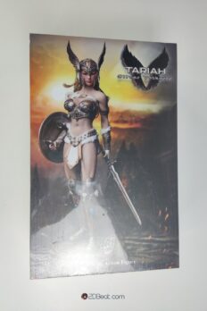 [In-Stock] TBLeague Phicen PL2019-149 Tariah Silver Valkyrie 1/6 Scale