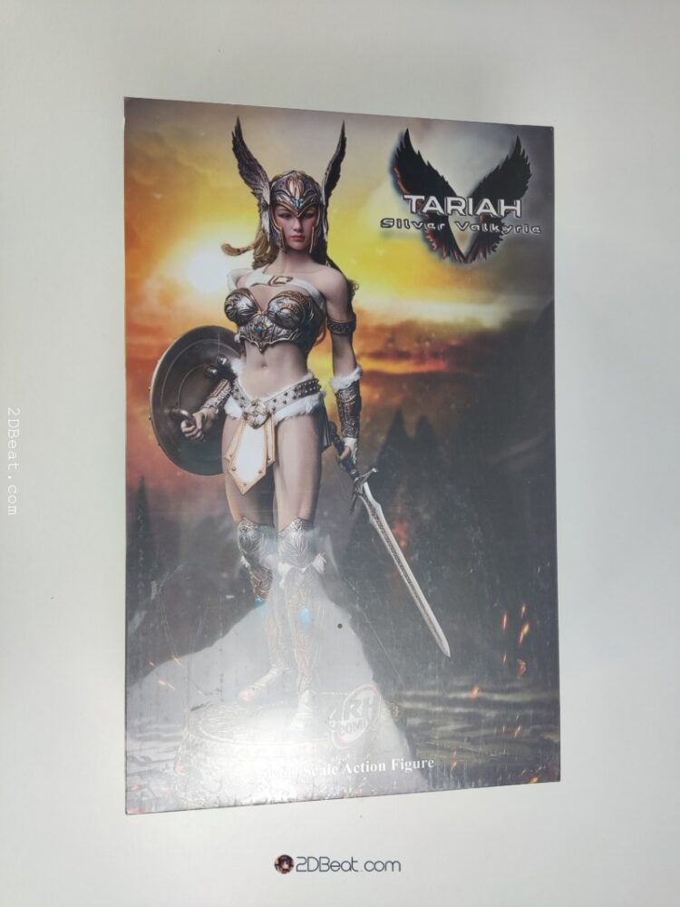 [In-Stock] TBLeague Phicen PL2019-149 Tariah Silver Valkyrie 1/6 Scale