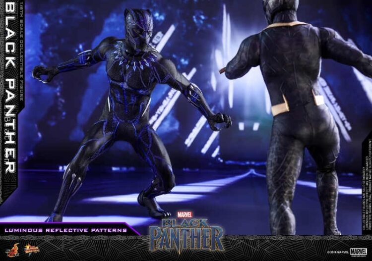 Hot Toys Black Panther 1/6th scale Action Figure