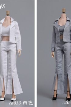 1/6 Scale CDTOYS CD-033 Female Soldier Business Suit Set for Female Seamless Body