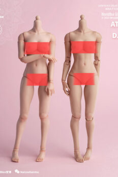 1/6 Rubber Chest D Cup Pale for Worldbox Girl Bodies [WB-CUPDP