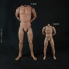 1/4 Scale COOMODEL HD001 18" Action Figure Body