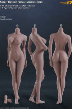Phicen S12D Super-Flexible Female Seamless Large Breast Stainless Steel Skeleton Body Suntan Skin
