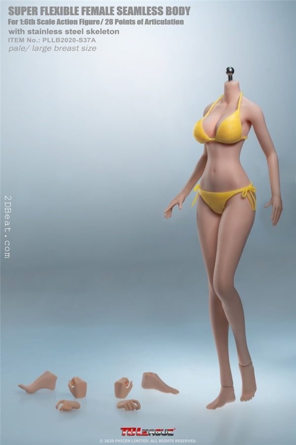 1/6 TBLeague PHICEN S37A Anime Girl Super-Flexible Seamless Body (PaleSkin)  * 2DBeat Hobby Store