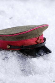 1:6 scale Alert Line AL-100042 WWII Soviet Mountain Infantry Officer