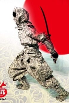 TOYSDAO TDA-01 1/6 Soldier Ninja Suit Black Red Camo Tricolor