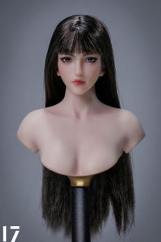 1/6 scale LZ TOYS LZ-SET016B Female Head Sculpt Brown Hair