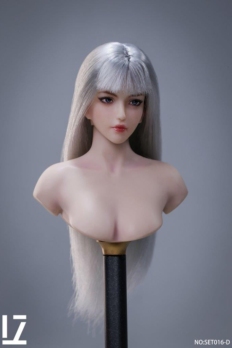 1/6 scale LZ TOYS LZ-SET016D Female Head Sculpt Grey Hair