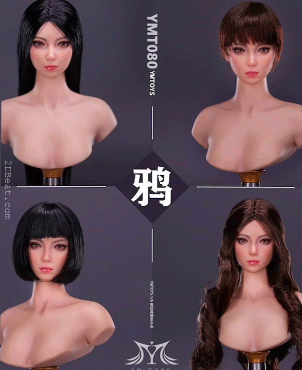 Female Head Sculpt and Hair Piece 1/6 Scale Accessory Set (YMT061B)