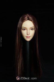 1/6 Elf Female Head Sculpt Pale Skin Interchangeable Ears / Brown Hair by Super Duck
