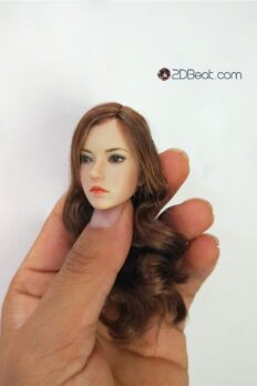 SUPER DUCK Female Brown Long Hair Head Sculpt 1:6 Scale Fit 12