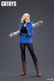 1/12 Scale Cdtoys CD048 Android 18 Head Sculpt & Costume set Fit 6'' PH TBL Figure Body