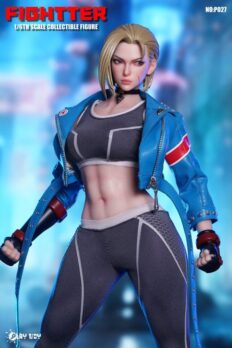 1/6 scale PLAY TOY P027 action figure
