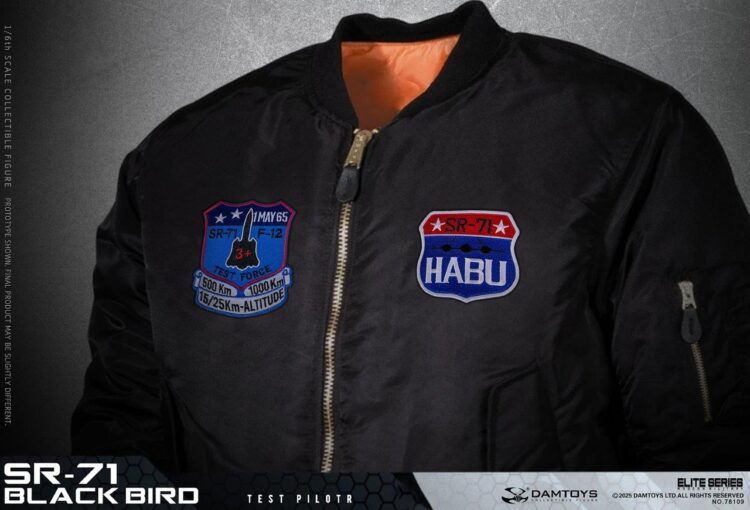 1/6 Scale DAM Toys 78109 SR-71 BLACK BIRD TEST PILOT Action Figure - Image 11
