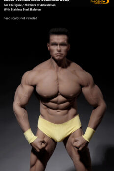 1/6 Scale TBleague M34 Super-Flexible Male Seamless Muscular Body 3.0