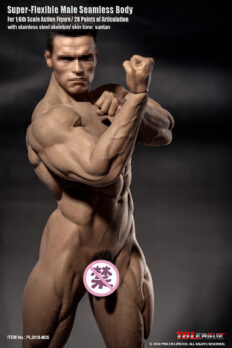 1/6 Scale TBleague M35 Super-Flexible Male Muscular Seamless Body