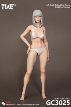 1/6 Scale True1Toys GC3025 Jointed Female Body Grey Hair with White Skin