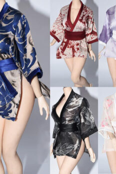 1/6 Scale Ancient-Style Bathrobe for 12" female doll aciton figure