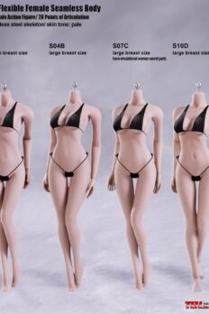 1/6 Scale TBLeague Body S01A / S04B / S07C / S10D Super-Flexible Female Seamless Body (Pale Skin)