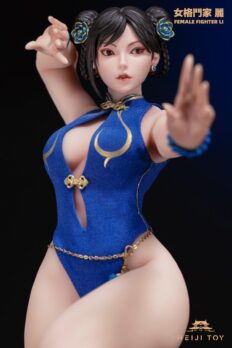 1/6 Scale HeiJi Toys HJ001 Female Fighter Li Action Figure