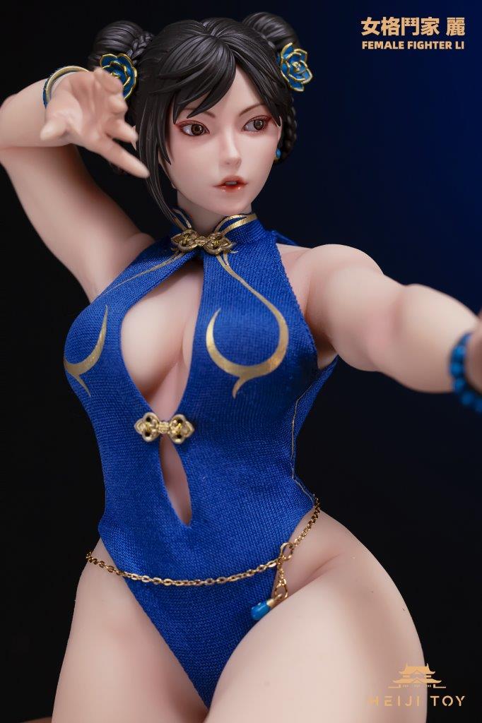 1/6 Scale HeiJi Toys HJ001 Female Fighter Li Action Figure - Image 8