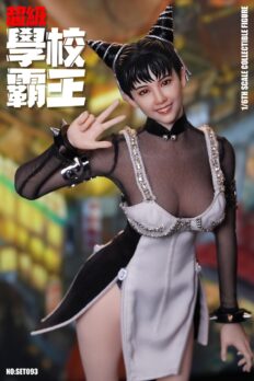 1/6 Scale Super Duck SET093 School Bully Fighting Goddess