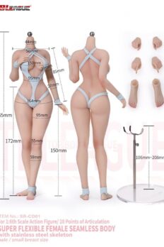 1/6 Scale TBLeague SR-CD01/02 Seamless Body with Stainless Steel Skeleton Small Breast Size