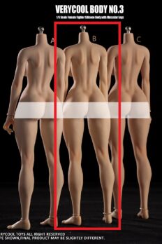 1/6 VERYCOOL VCD-03B Silicone Female Body (Natural Skin)