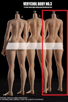 1/6 VERYCOOL VCD-03C Silicone Female Body (Wheat Skin)